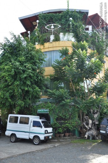 Ponce Suites Covered with Green