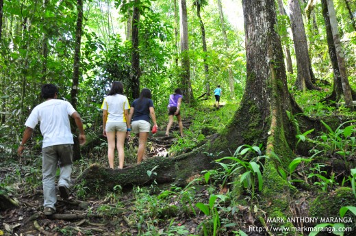 Trekking