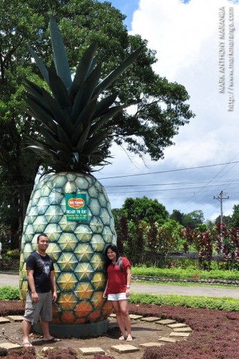 Big Pineapple with Mark and Lisa