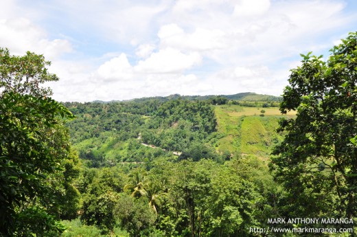 Bukidnon Mountain