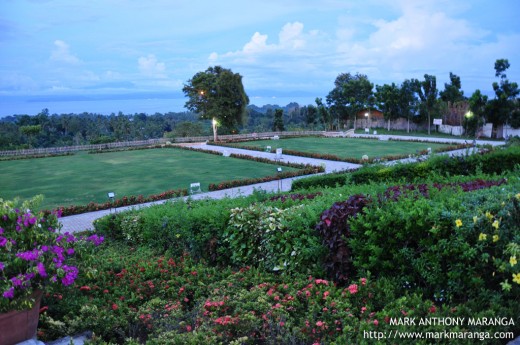 Divine Mercy Hills Landscape