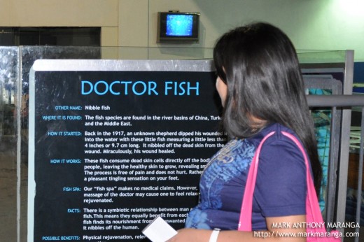 Doctor Fish