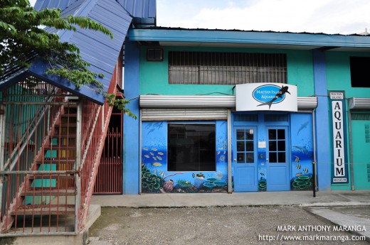 Mactan Aquarium