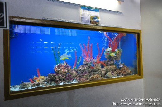 One of the Aquariums
