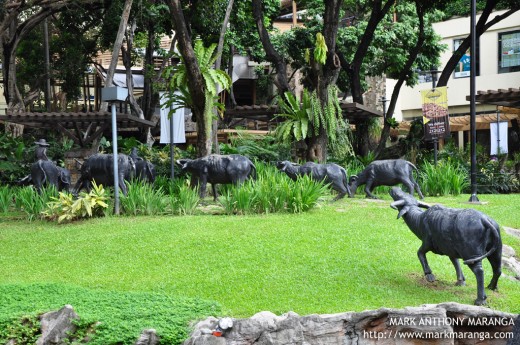 Surroundings of Greenbelt