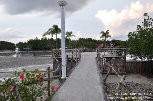 Viewing Deck