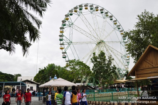 Wheel of Fate from a distance