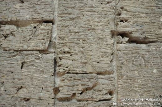 Coral Stones of the Church