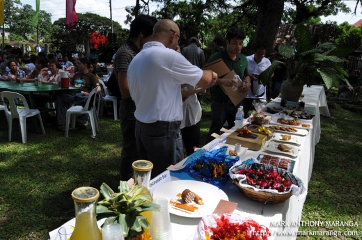 Muscovado Competition during Cinco de Noviembre