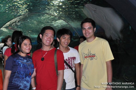 At the Oceanarium Tunnel