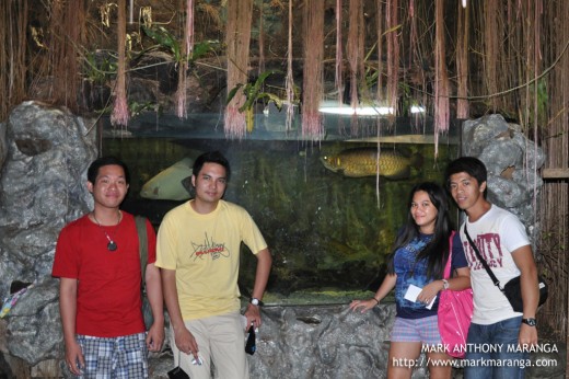 Bouying, Jimjim, Lisa & RC at Agos Section of Manila Ocean Park