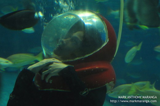 Helmet Diving or Marine Walk