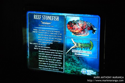 Information at the bottom of each aquarium