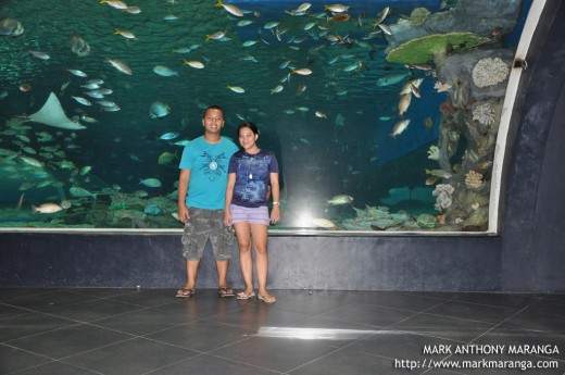 Mark and Lisa at the 25 ft aquarium