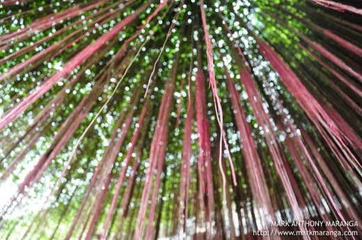 Tree of Voices at Manila Ocean Park