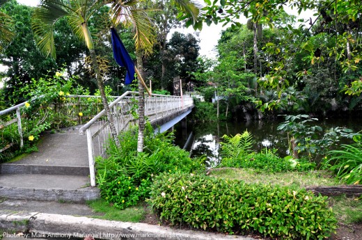 Bridge and Pond