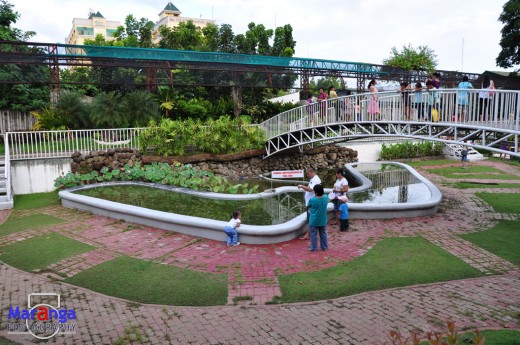 Fish Pond and Small Bridge