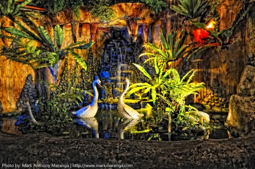 Fish pond at Weegols Garden