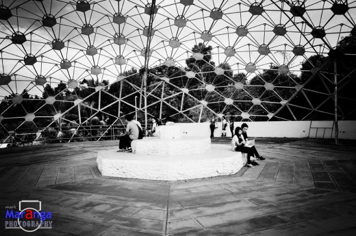 Inside the Durian Dome
