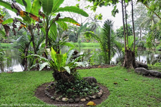 Pond in Butuan Museum