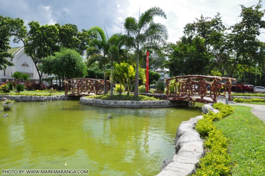 Pond and Bridges