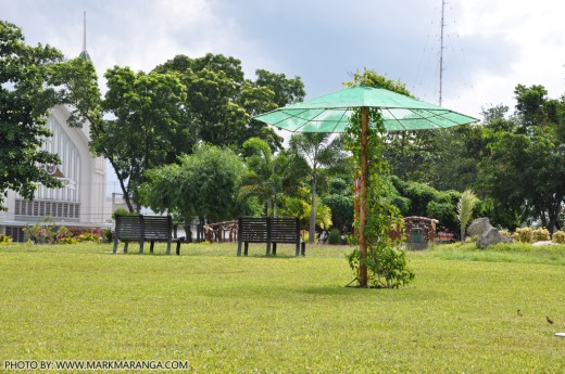 Shade and Benches