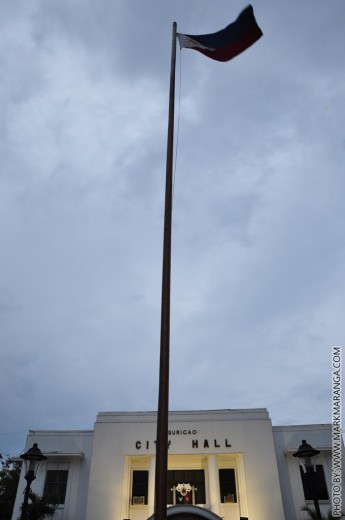 Tall Flag Pole
