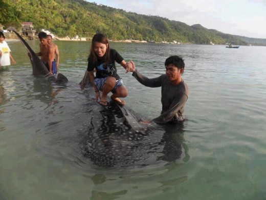 Girl standing on top of a Whale Shark