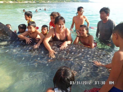 Happy to touch a Whale Shark