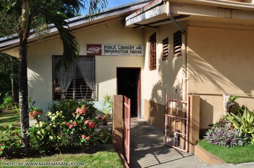 Public Library and Information Center