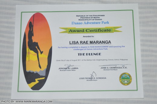 Lisa's Certificate