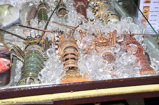 Lobsters in Ice