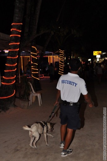 Beach Police with Askal