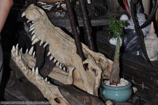 Crocodile Bones and Tribal Items