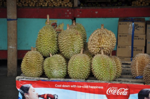 Durian for Sale