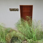 Siargao Office