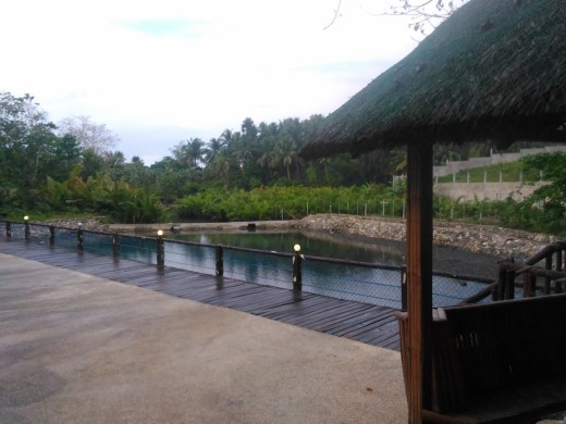 At the man-made pond near the Cambuhawe Spring Pool