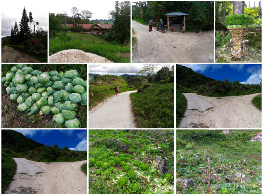 Random Views going to Osmena Peak