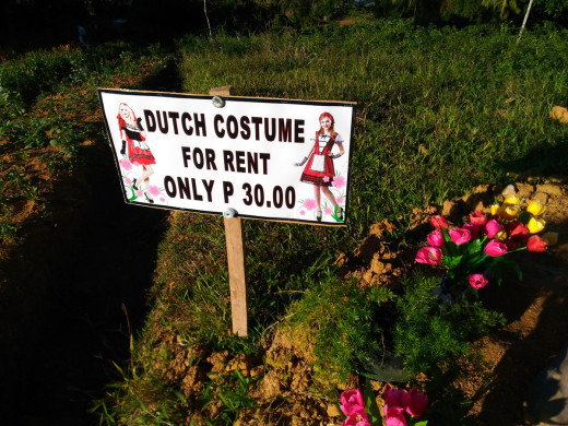 Dutch Costume for Rent