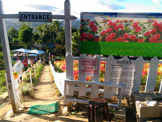 Entrance of Sirao Flowers