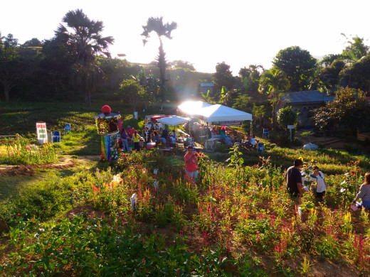 Food and Giftshop in the Garden