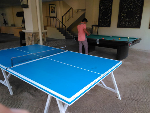 Table Tennis and Billard Table for Guests