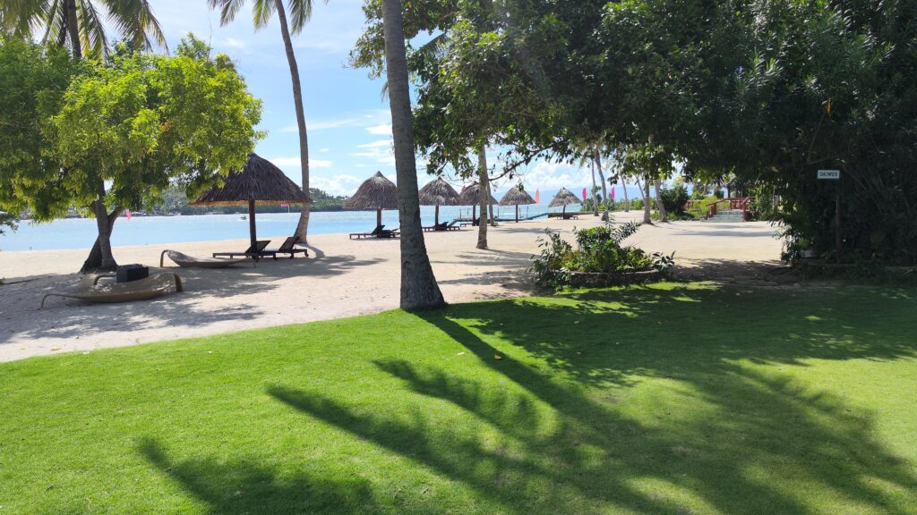 Beautiful grass, sky and beach