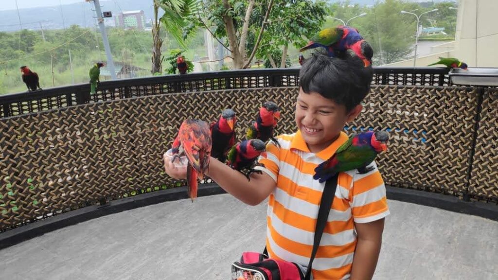 Holding several Parrots