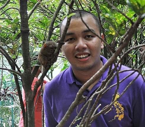 Tarsier in Bohol