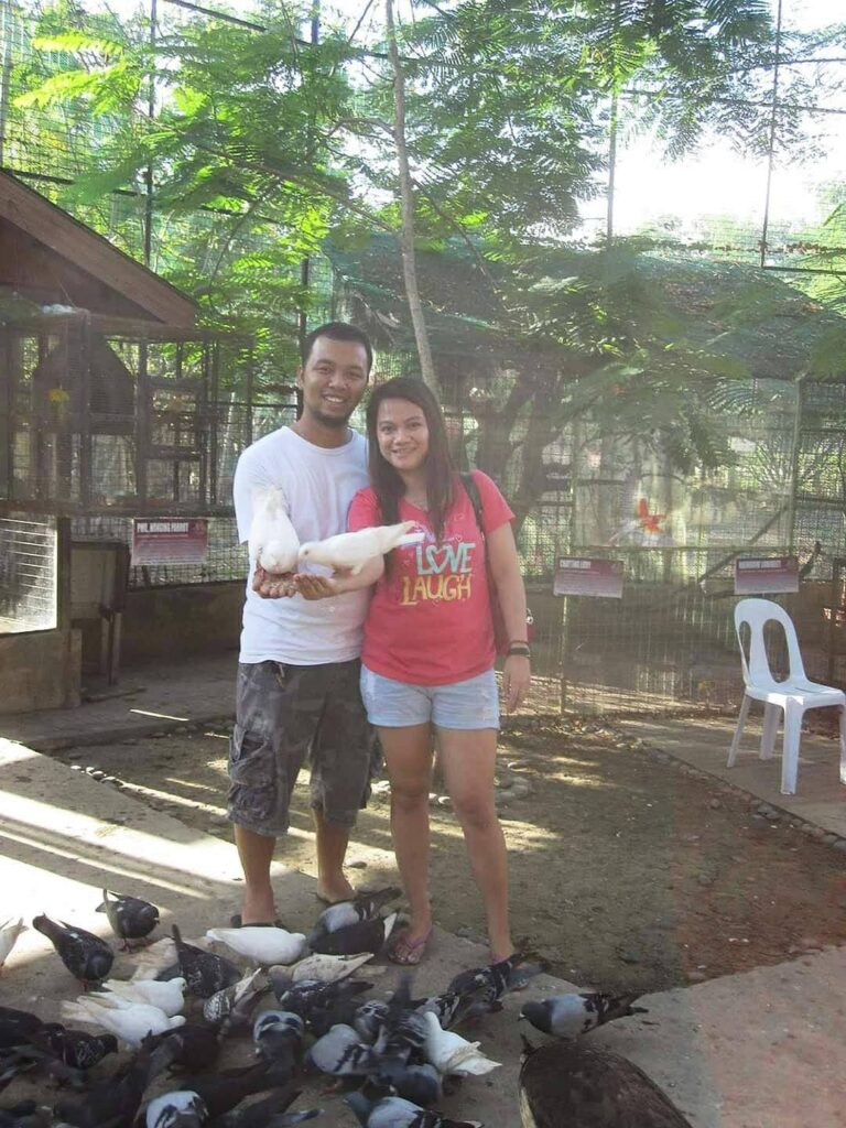 Doves in Cebu