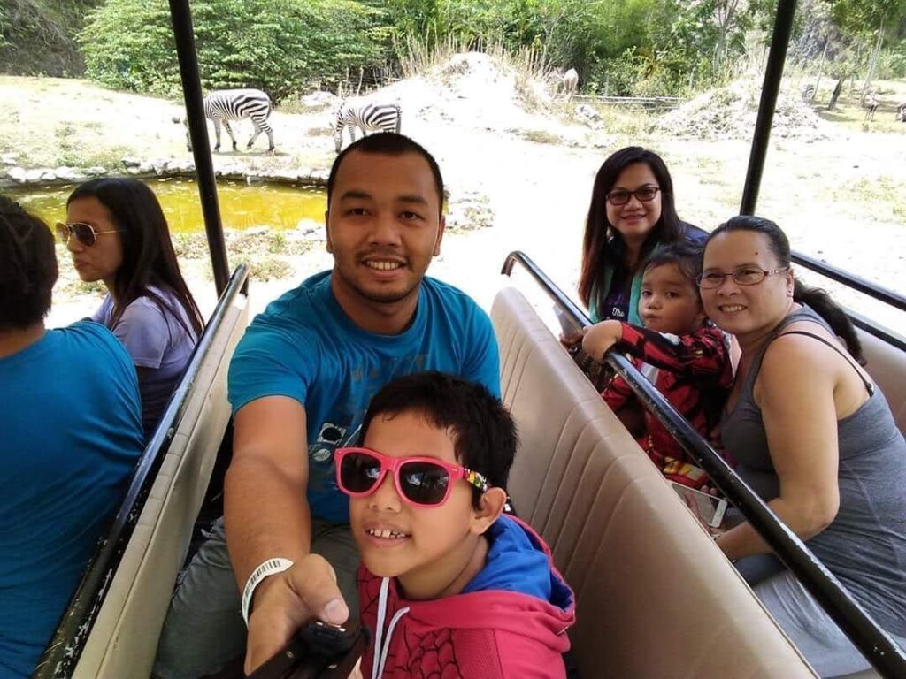 Zebra in Cebu Zoo