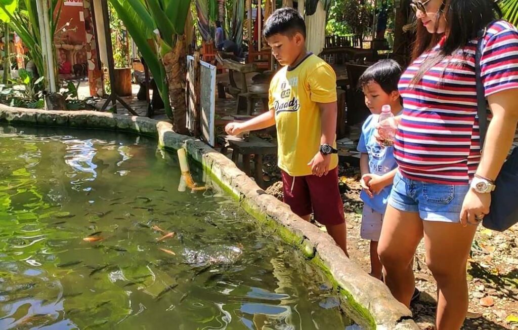 Feeding the Fishes