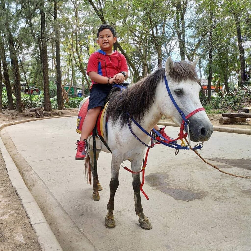 Sam Riding a Horse in Baguio