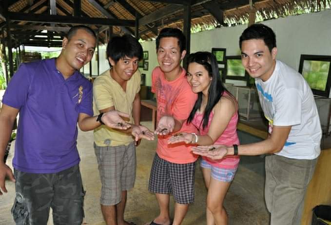 Butterfly Pupa in Bohol